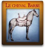 Le cheval Barbe