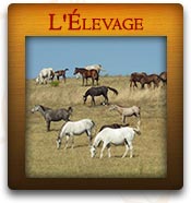 L'&eacute;levage Francjoie