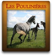 Les poulini&egrave;res