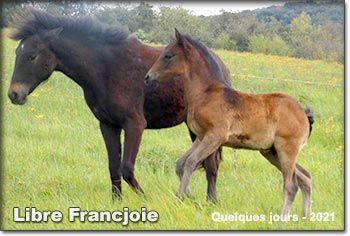 Libre Francjoie