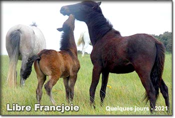 Libre Francjoie