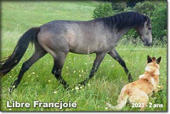 Libre Francjoie