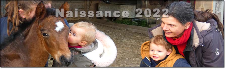 Elevage Francjoie Naissances 2022