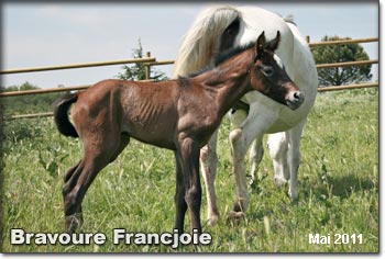 Bravoure Francjoie