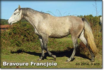 Bravoure Francjoie