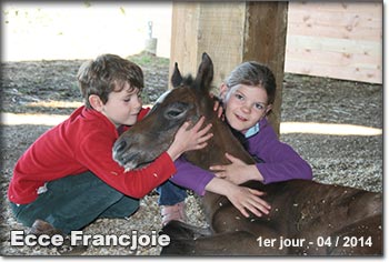 Ecce Francjoie