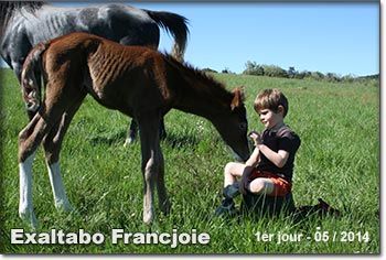 exaltabo Francjoie