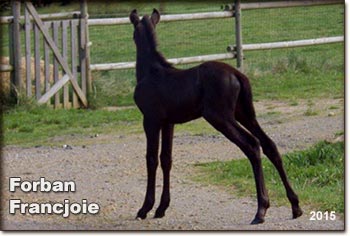 Forban Francjoie