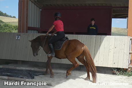Hardi Francjoie
