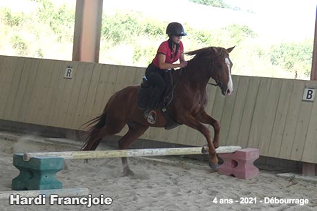 Hardi Francjoie