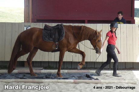 Hardi Francjoie