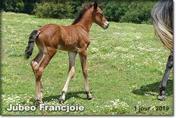 Jubeo Francjoie