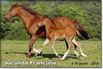 Jucunda Francjoie