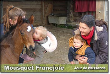 Mousquet Francjoie