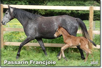 Passarin Francjoie