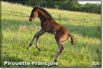 Pirouette Francjoie