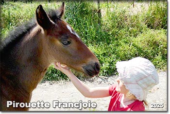 Pirouette Francjoie