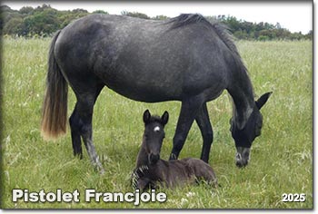 Pistolet Francjoie